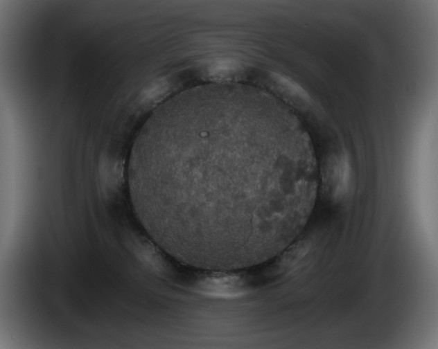 X0000084540278200703021450