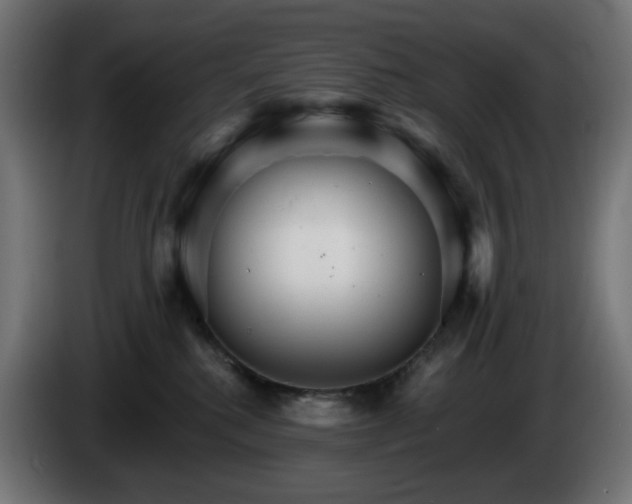 X0000084540280200703021450