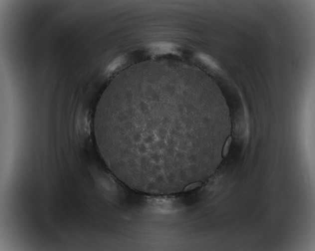 X0000084540282200703021450