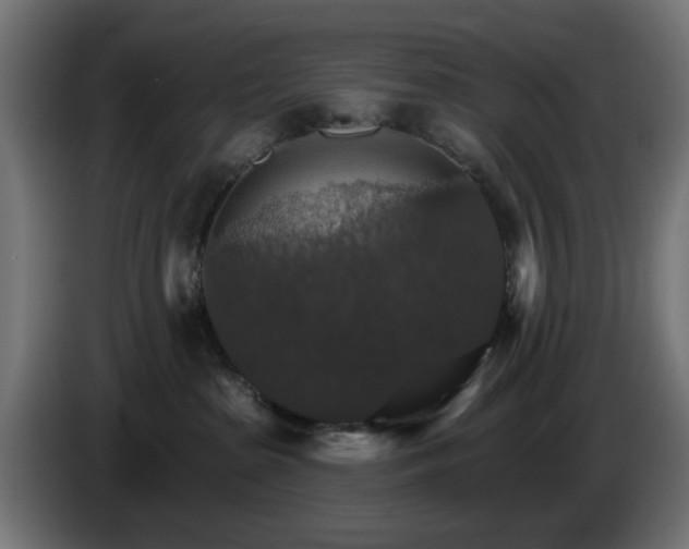 X0000084540285200703021450