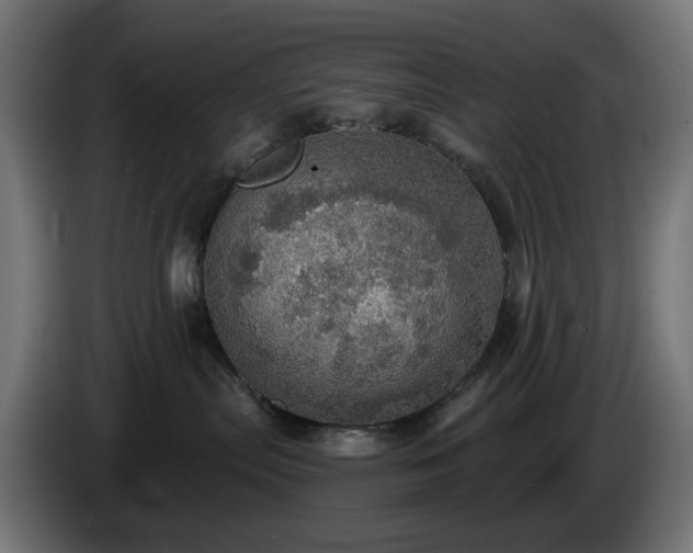 X0000084540287200703021450