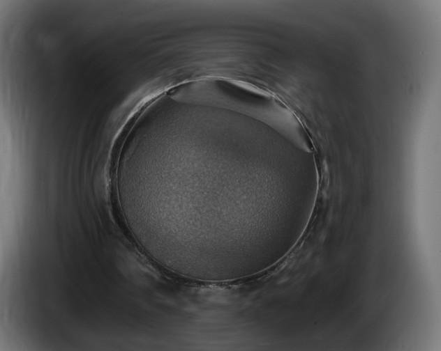 X0000084540290200703021450