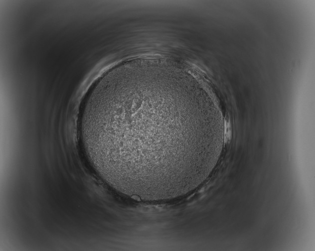 X0000084540291200703021450