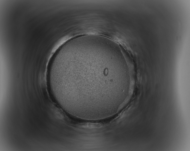 X0000084540292200703021450