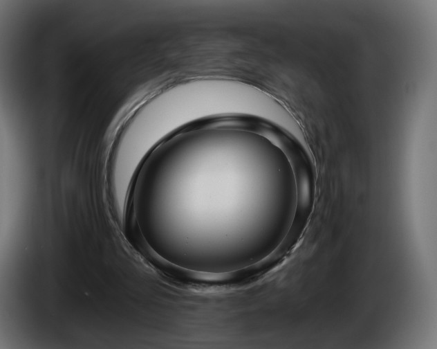 X0000084540293200703021450