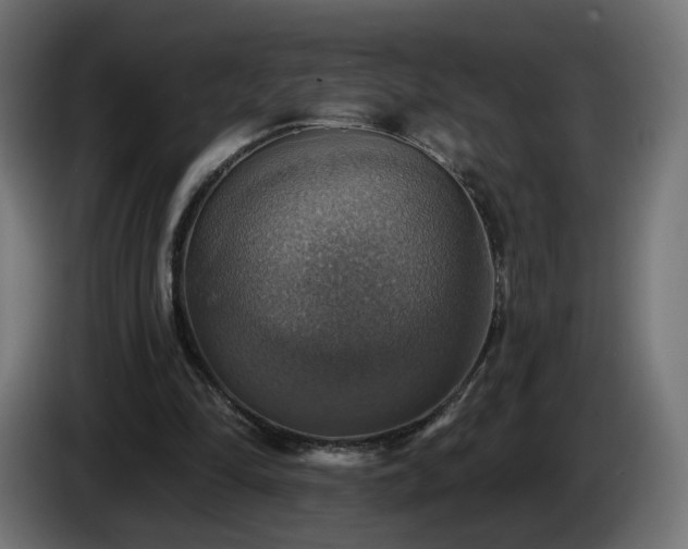 X0000084540294200703021450