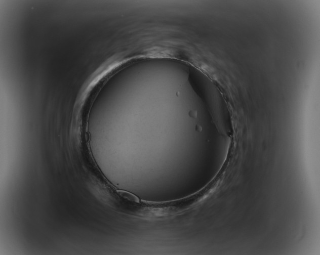 X0000084540295200703021450