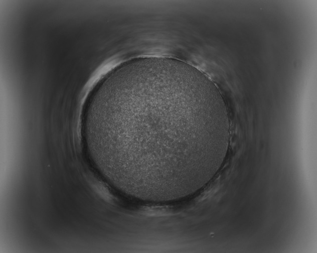 X0000084540296200703021450