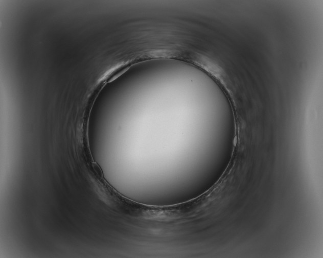 X0000084540297200703021450