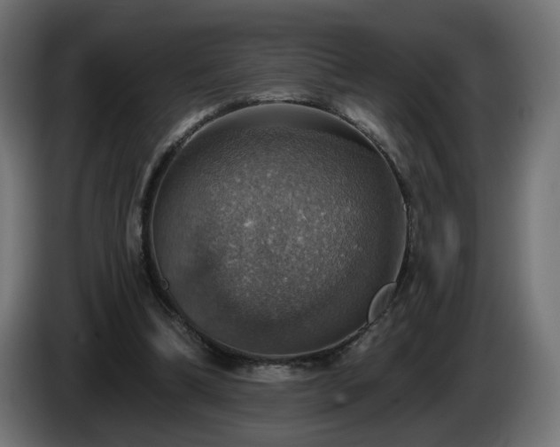 X0000084540298200703021450