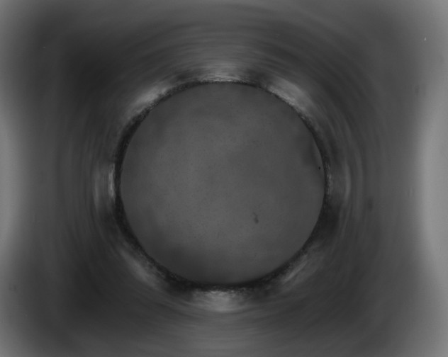 X0000084540302200703021450