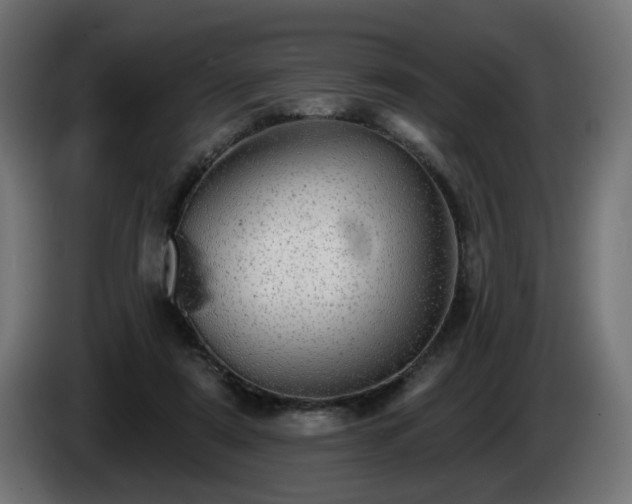 X0000084540307200703021450