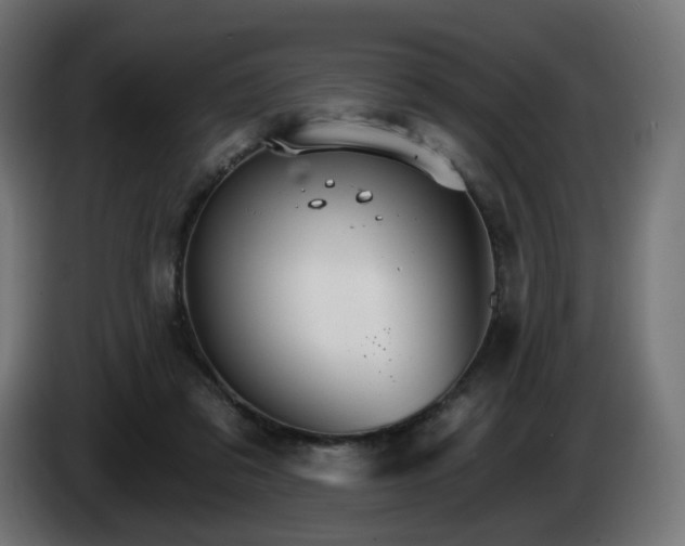 X0000084540309200703021450