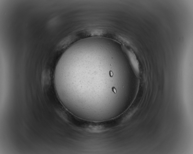 X0000084540311200703021449