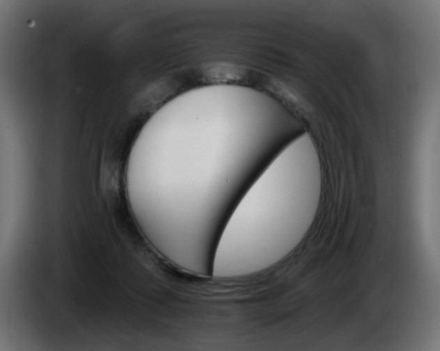 X0000084540315200703021449