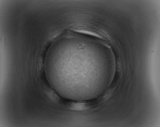 X0000084540318200703021449