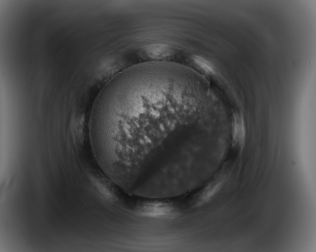 X0000084540319200703021449