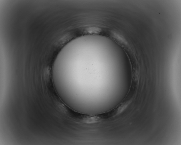 X0000084540321200703021449