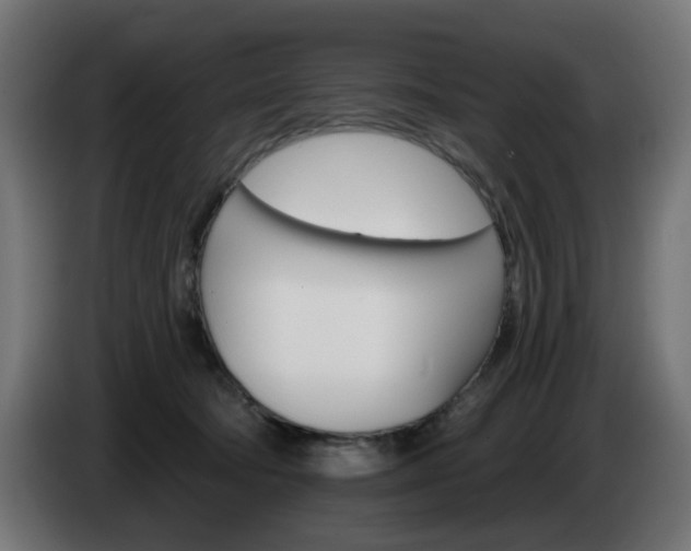 X0000084540322200703021449