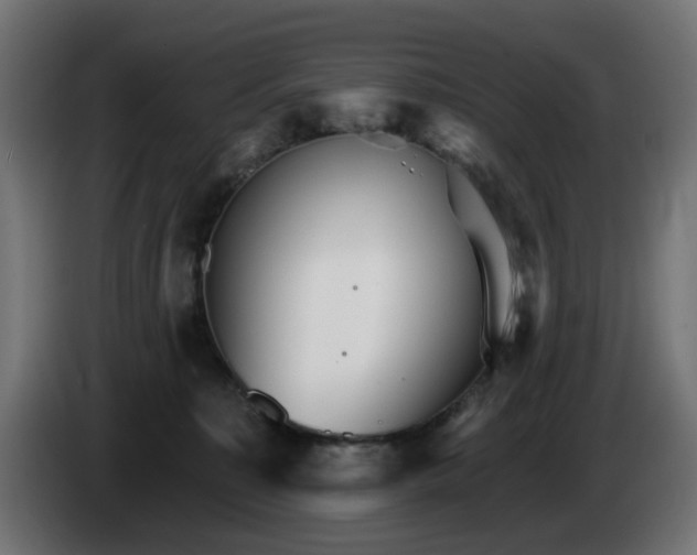 X0000084540323200703021449