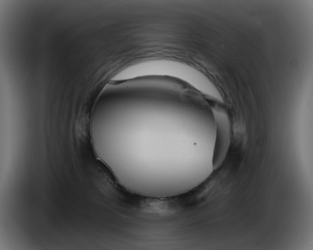 X0000084540325200703021449