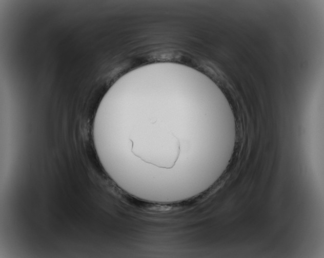 X0000084540326200703021449