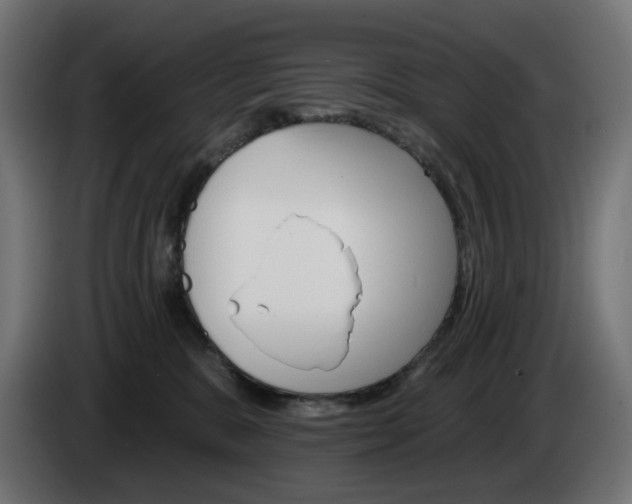 X0000084540327200703021449