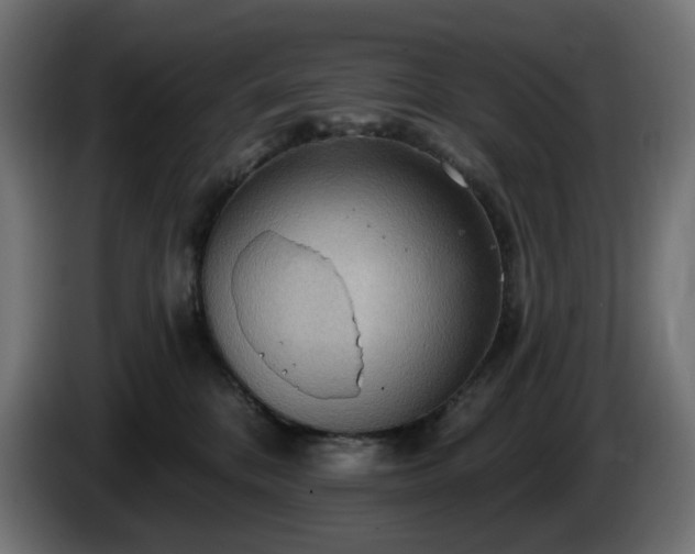 X0000084540328200703021449