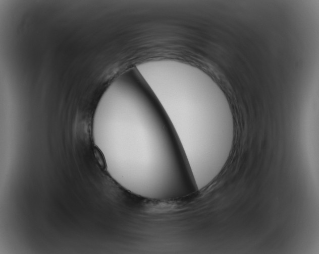 X0000084540329200703021449