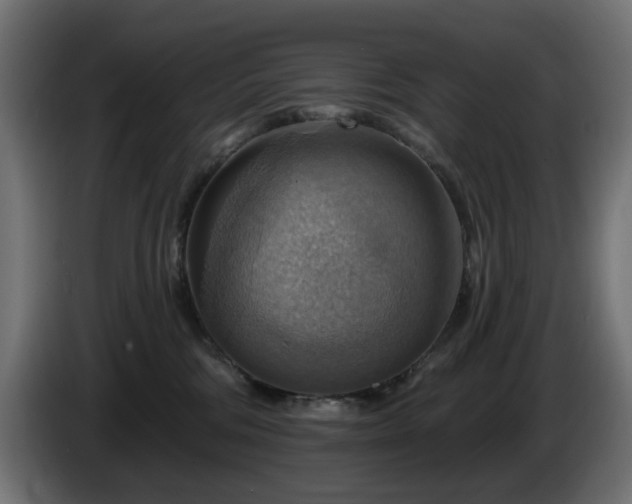 X0000084540330200703021449