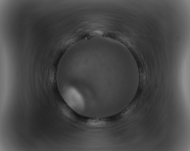 X0000084540331200703021449