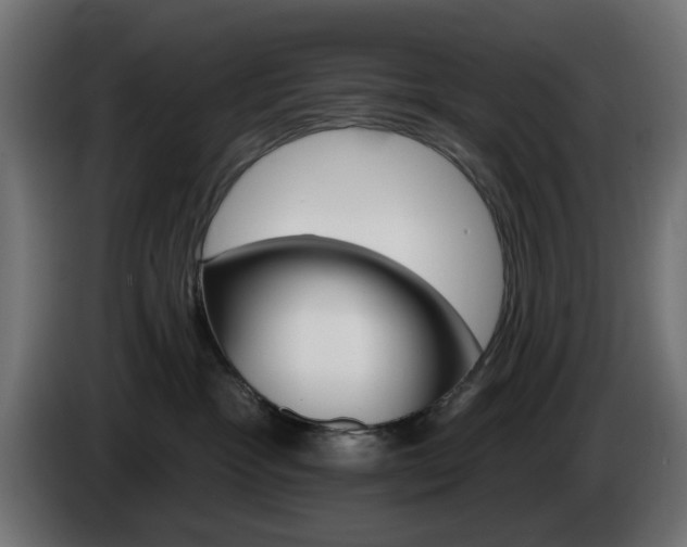 X0000084540333200703021449