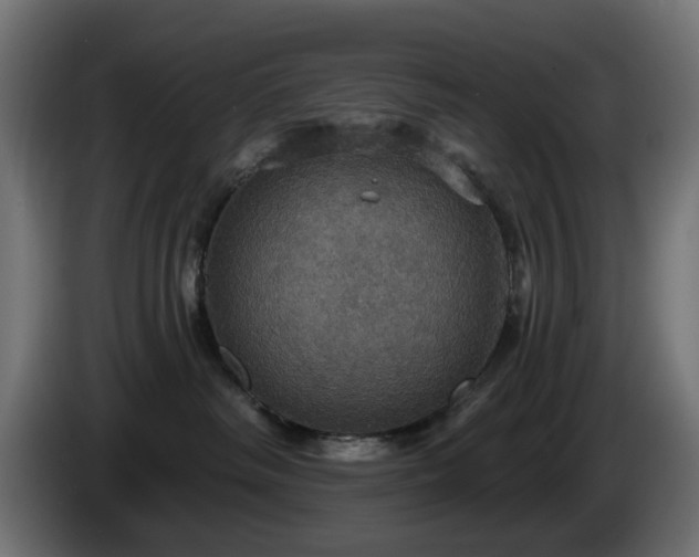 X0000084540334200703021449