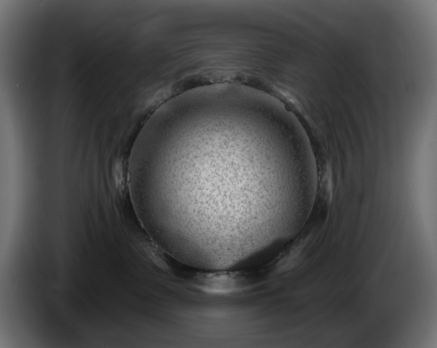 X0000084540335200703021449