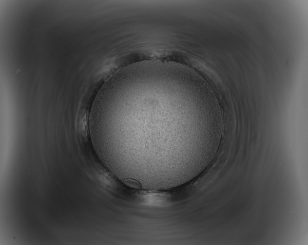 X0000084540336200703021449