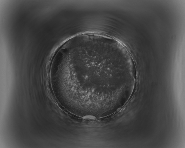 X0000084540337200703021448