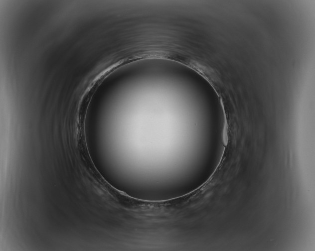 X0000084540338200703021448