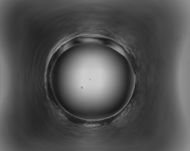 X0000084540340200703021448