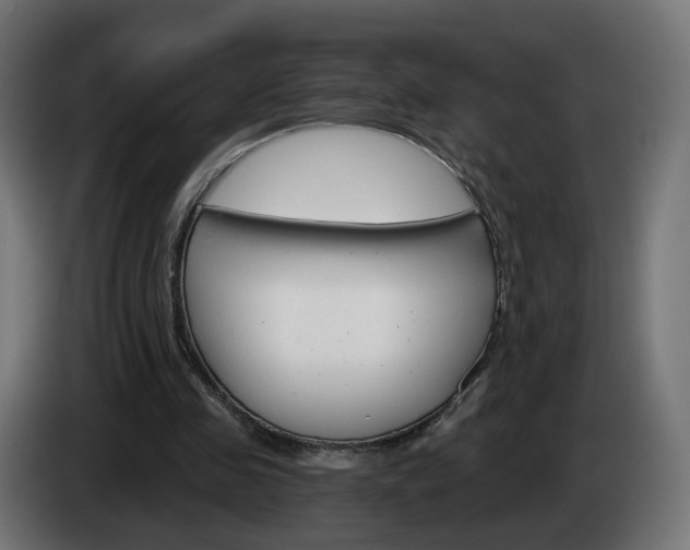 X0000084540341200703021449