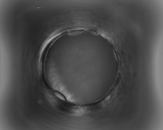 X0000084540343200703021449