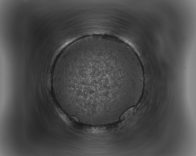 X0000084540345200703021449