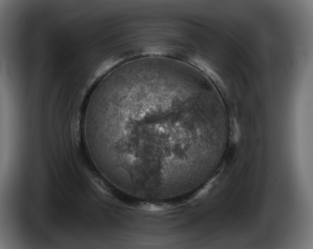 X0000084540346200703021449