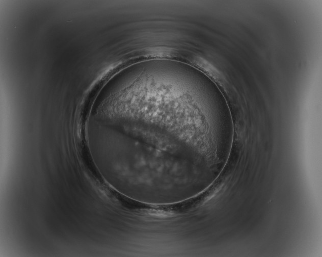 X0000084540347200703021449