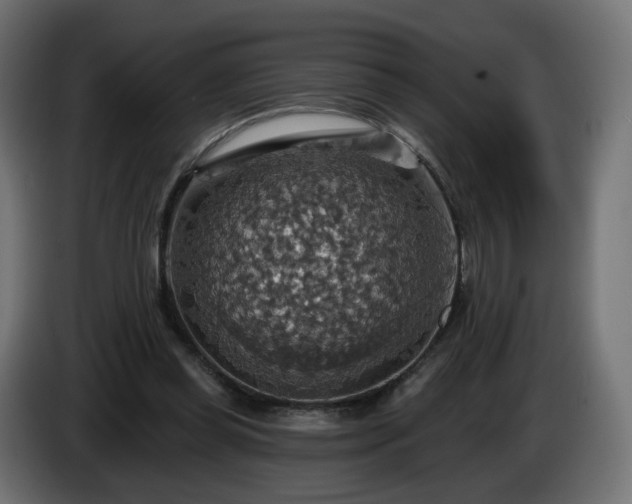 X0000084540349200703021449