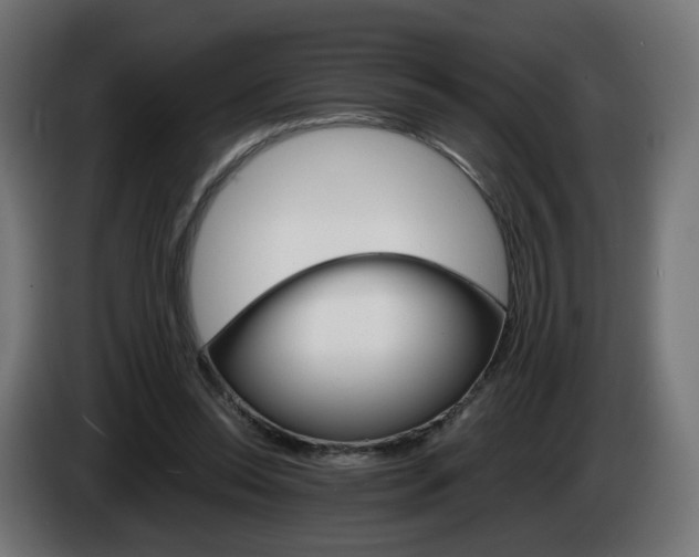 X0000084540350200703021449