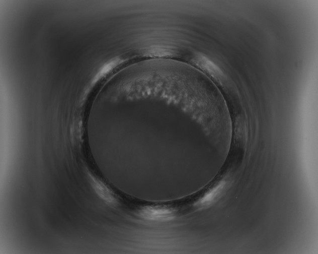 X0000084540351200703021449