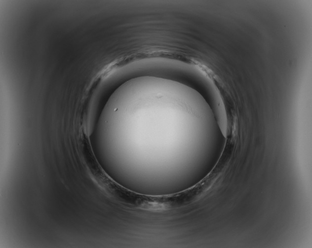 X0000084540352200703021449