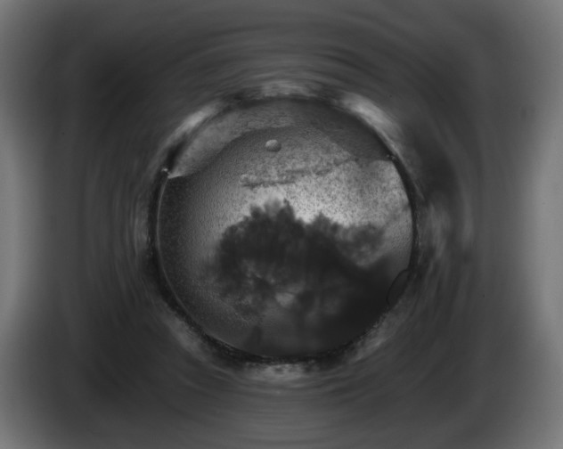 X0000084540353200703021449