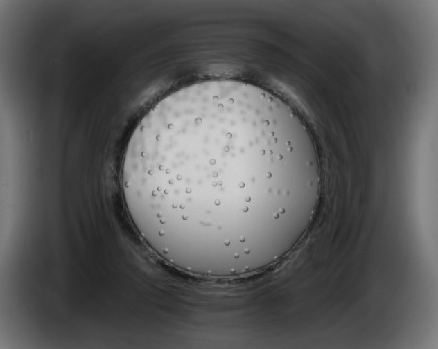 X0000084540354200703021449