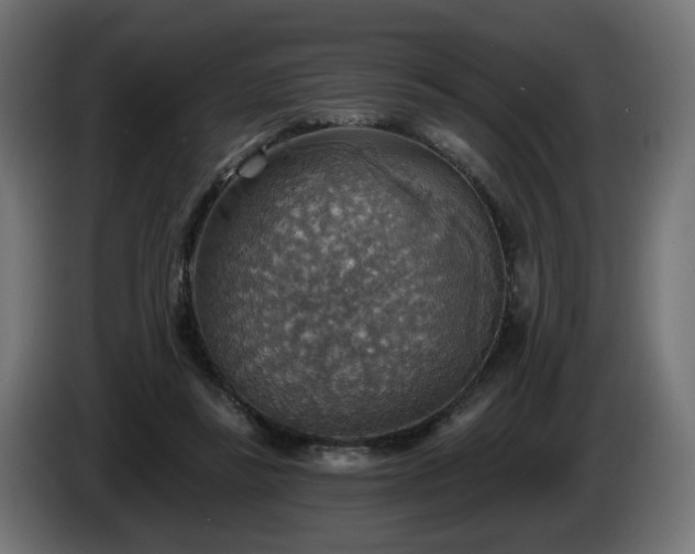 X0000084540355200703021449